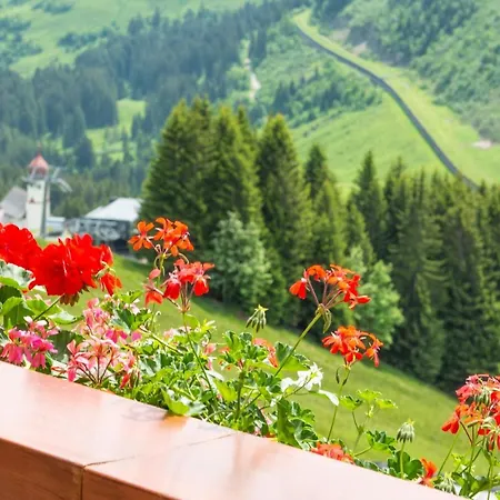 Maison d'hôtes Haus Furka 3*