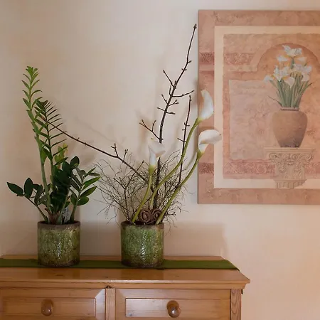 Maison d'hôtes Haus Furka 3*