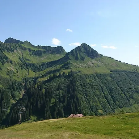 Haus Furka 3* 达米尔斯